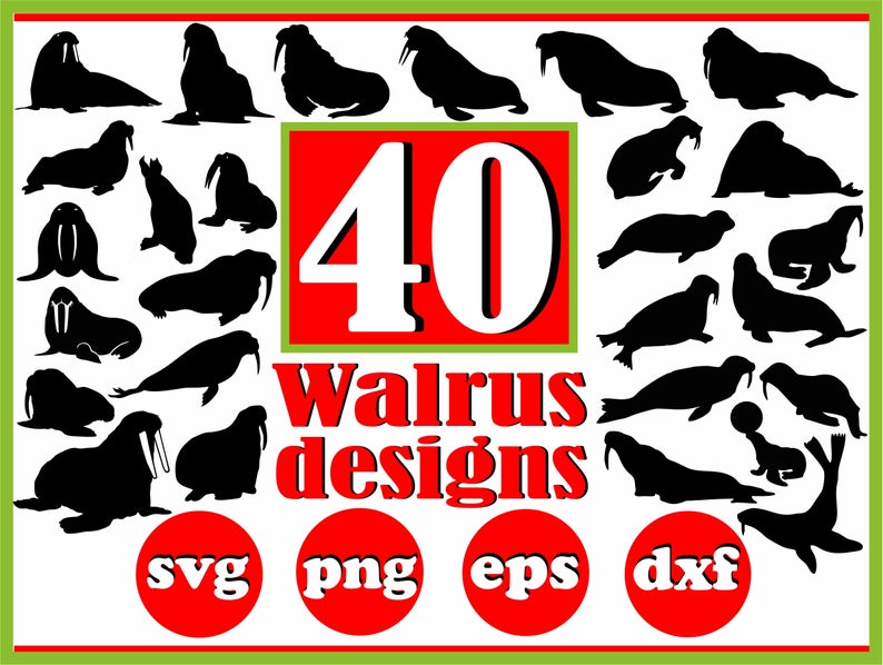 794x598 Walrus Bundle Walrus Walrus Clipart Walrus Vector Etsy