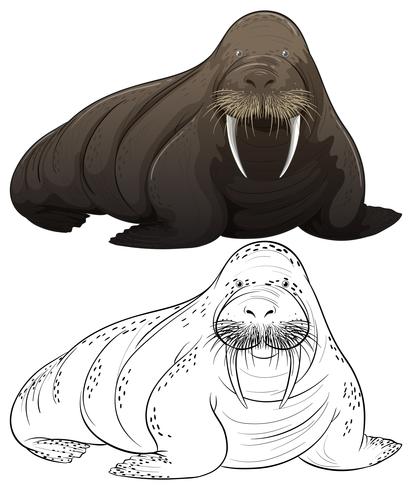 412x490 Animal Outline For Walrus