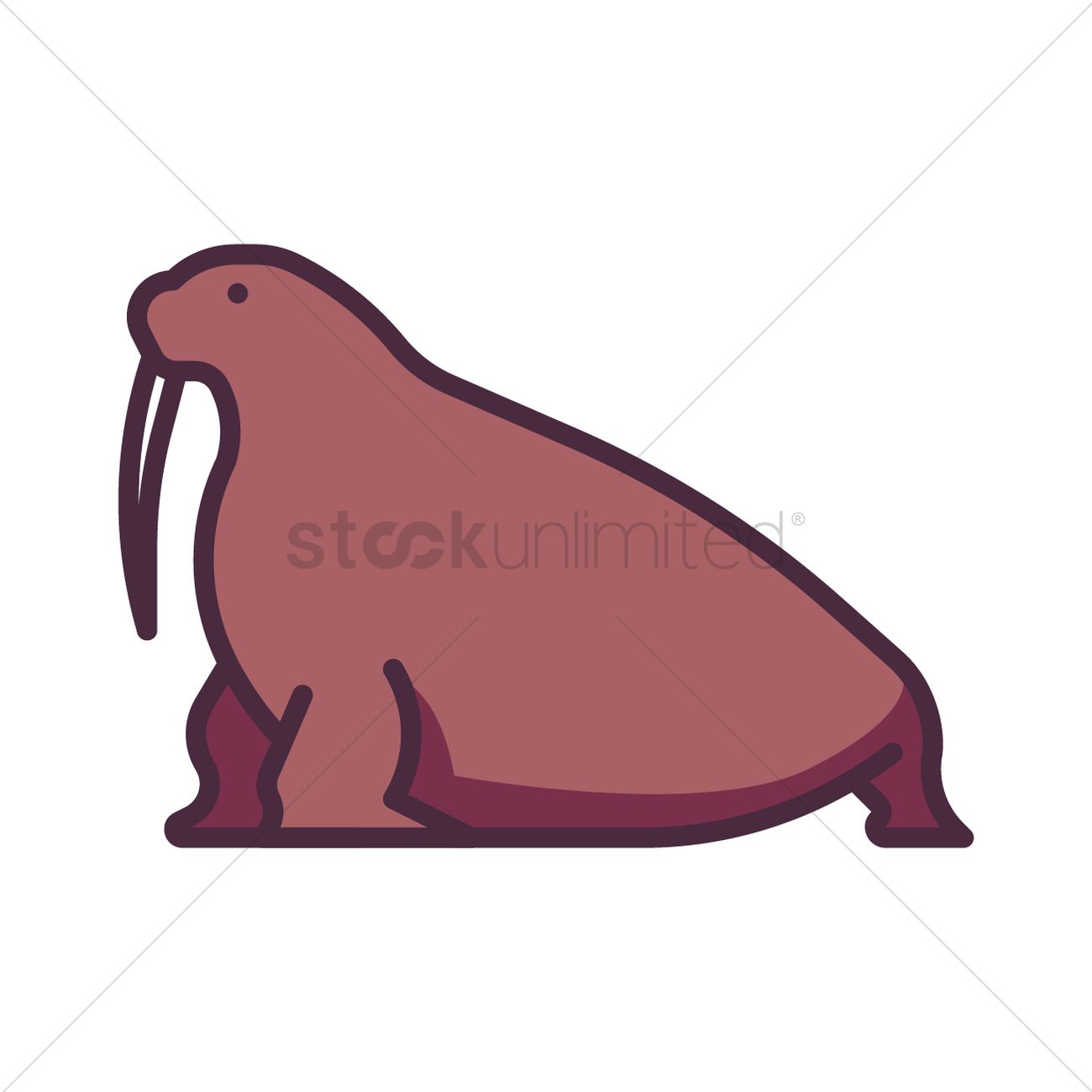 1300x1300 Walrus Vector Image