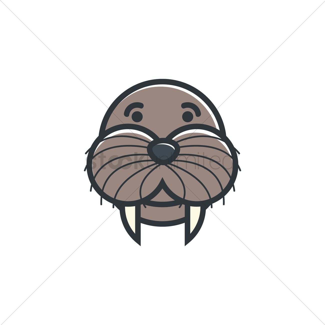 1300x1300 Walrus Vector Image