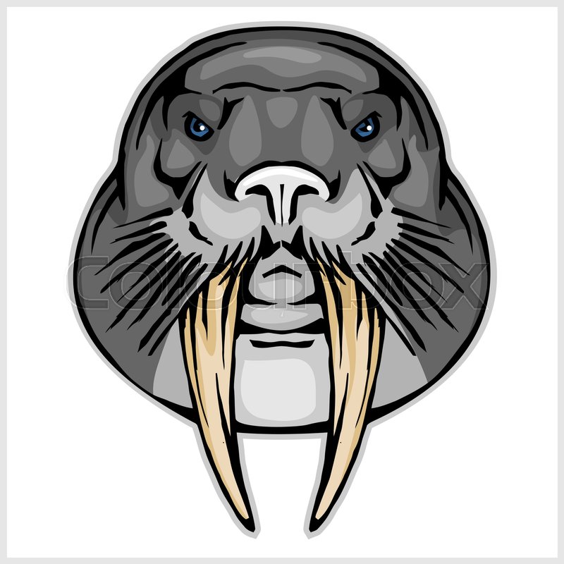 800x800 Walrus Head Mascot