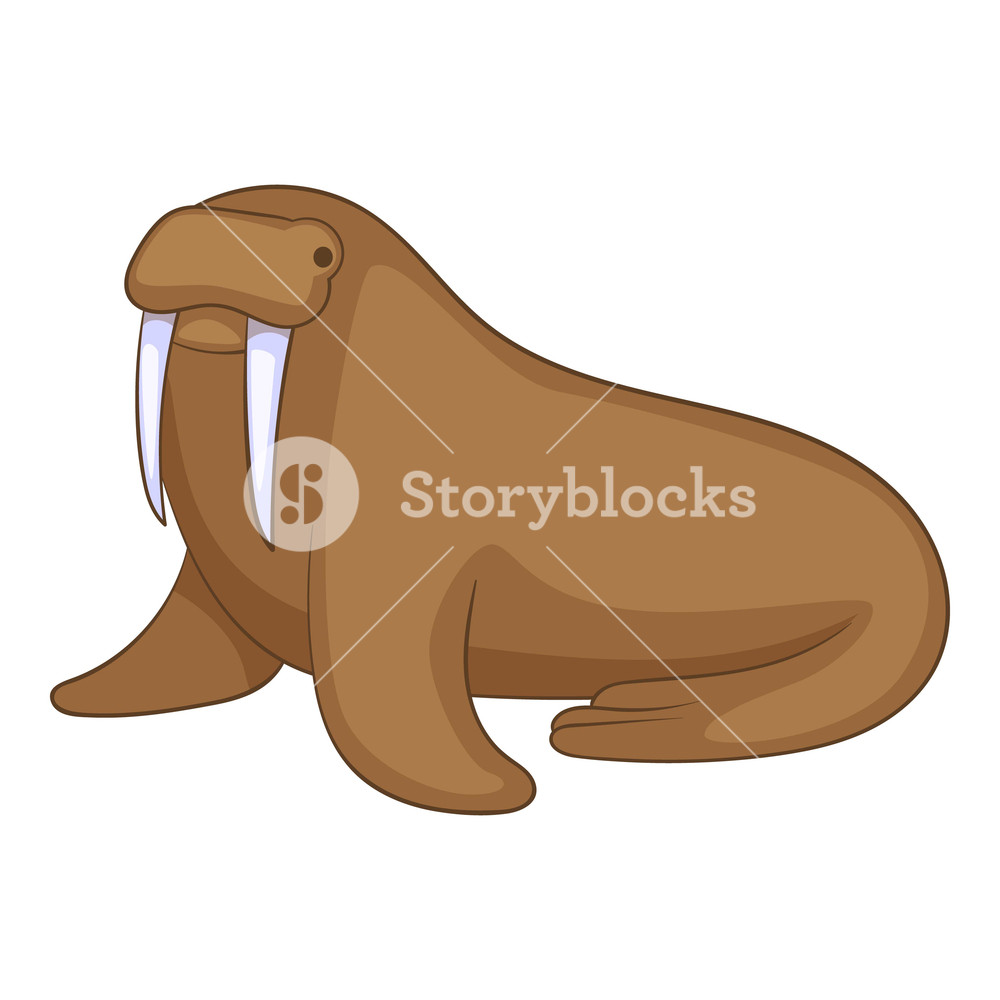 1000x1000 Walrus Icon Cartoon Illustration Of Walrus Vector Icon For Web