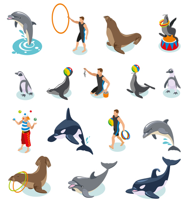 375x400 Walrus On Curated Vector Illustrations, Stock Royalty Free Images