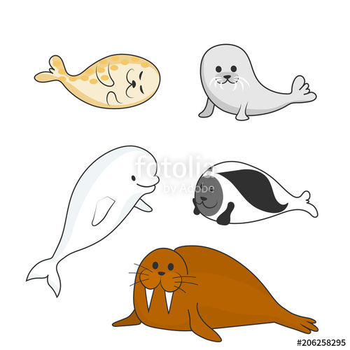 500x500 Arctic Marine Mammals Set