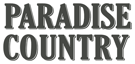 446x213 Theme Park Attractions