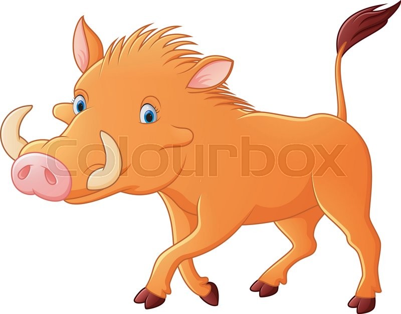800x628 Vector Illustration Of Cartoon Warthog Stock Vector Colourbox