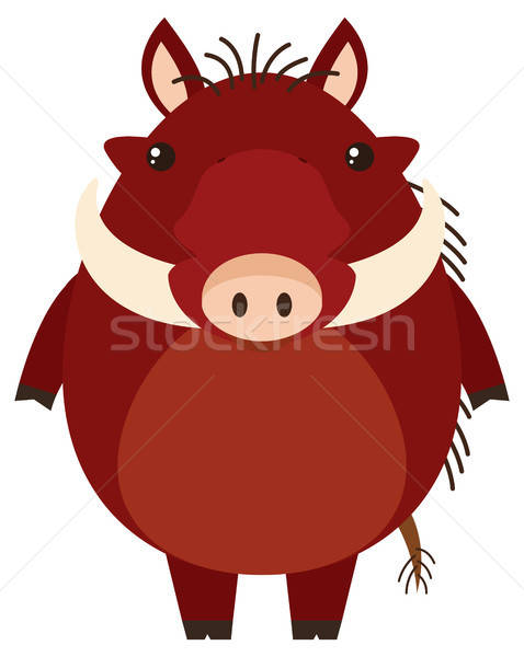 478x600 Warthog With Happy Face Vector Illustration Daniel Cole