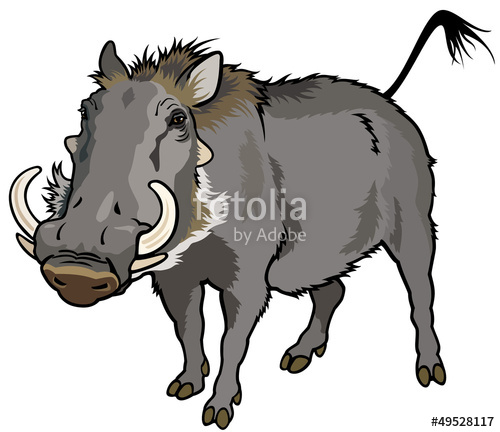 500x432 Warthog Stock Image And Royalty Free Vector