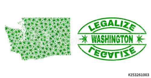 500x258 Vector Cannabis Washington State Map Collage And Grunge Textured