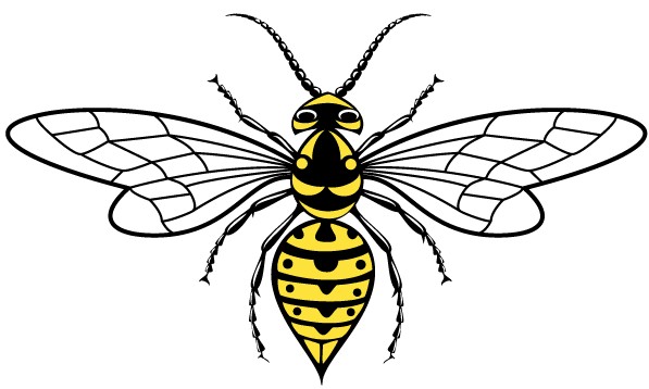597x358 Wasp Image Vector Free Download