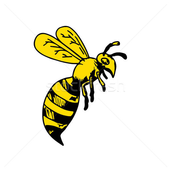 600x600 Wasp Stock Vectors, Illustrations And Cliparts Stockfresh