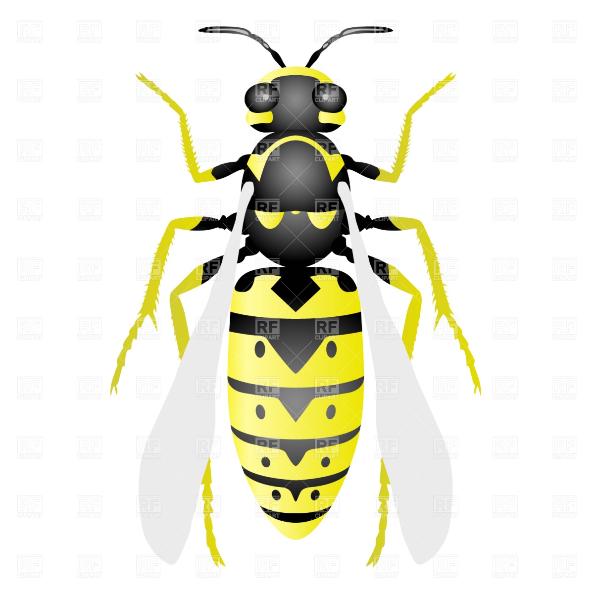 1200x1200 Wasp Vector Image Of Plants And Animals Prague