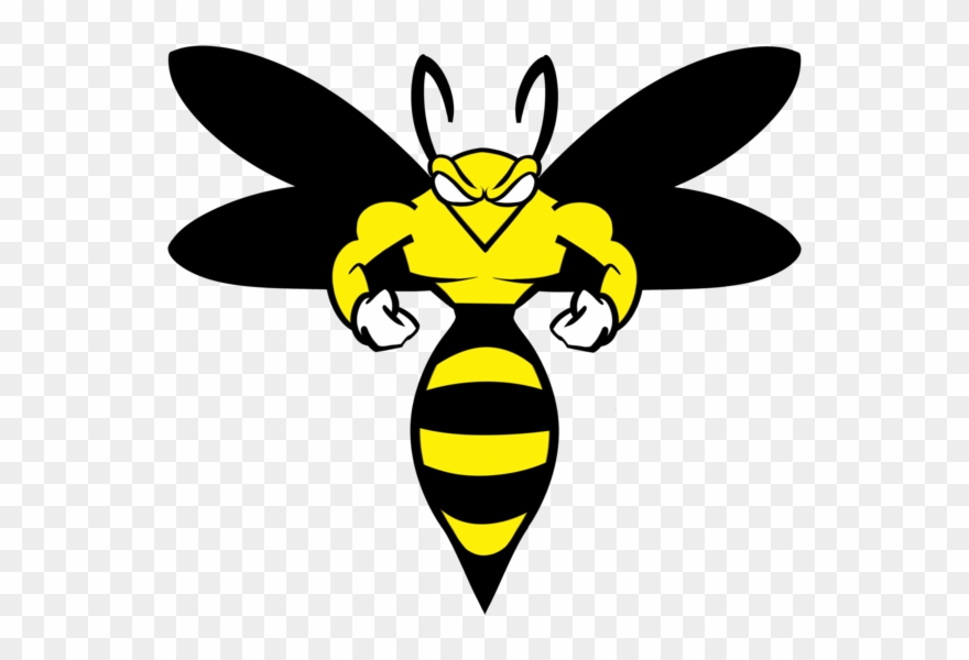 880x600 Wasp Vector Stylized Clipart