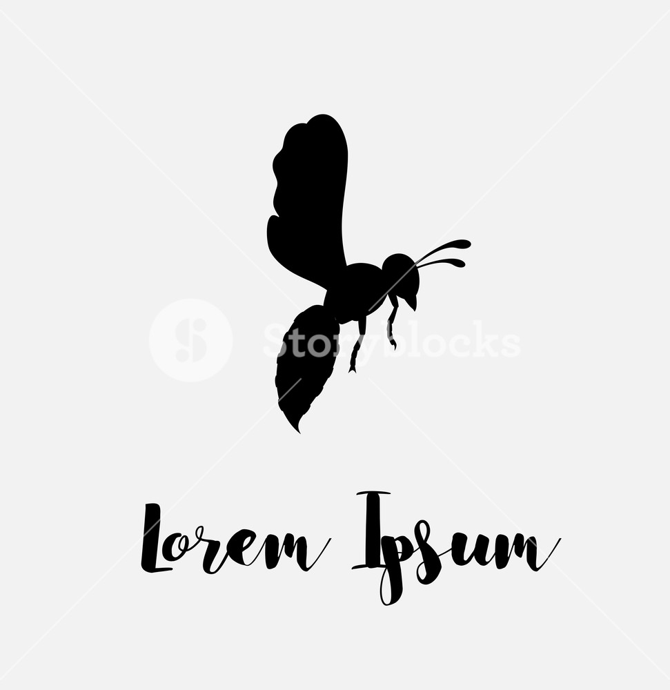 971x1000 Wasp Vector Template Illustration Royalty Free Stock Image