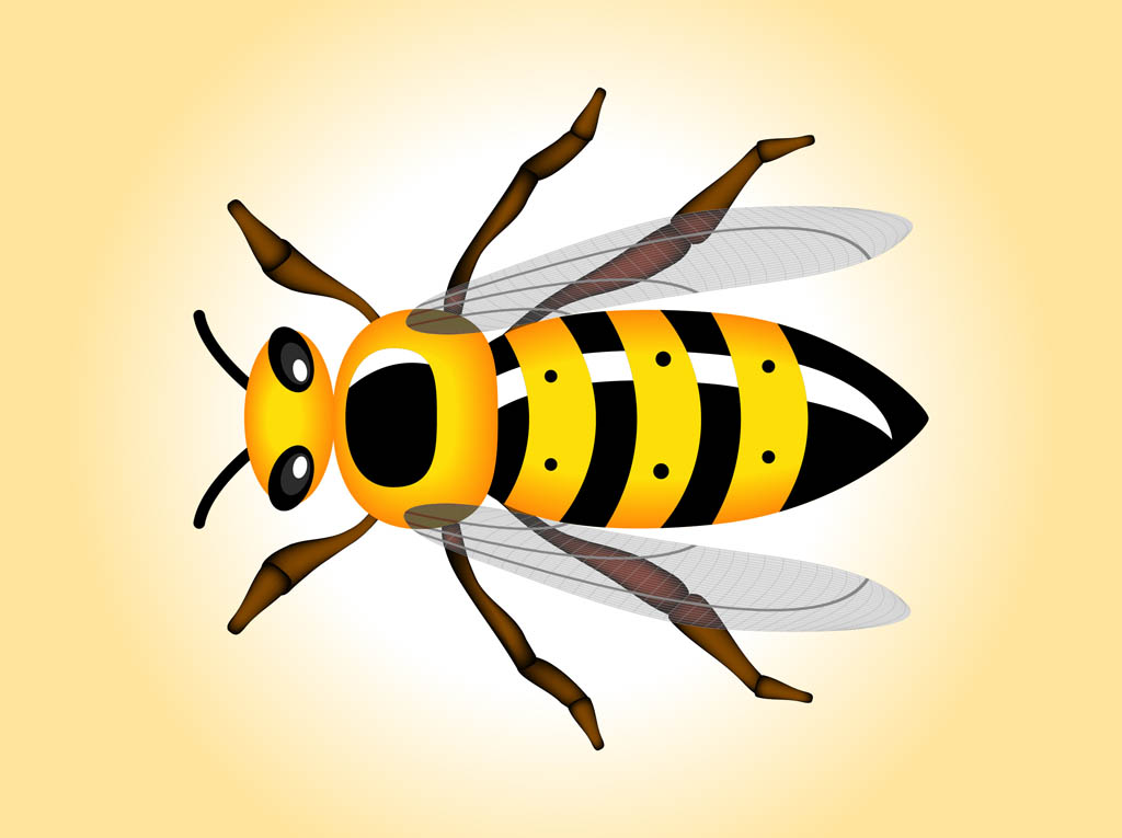 1024x765 Wasp Vector Vector Art Graphics