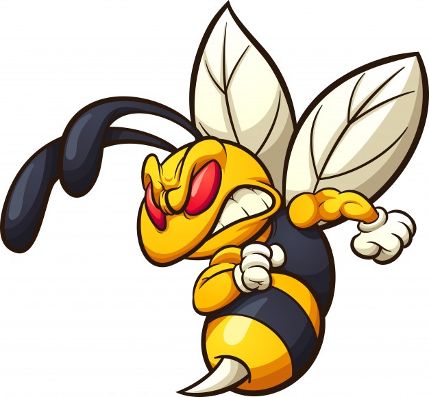 626x580 Wasp Vectors, Photos And Free Download