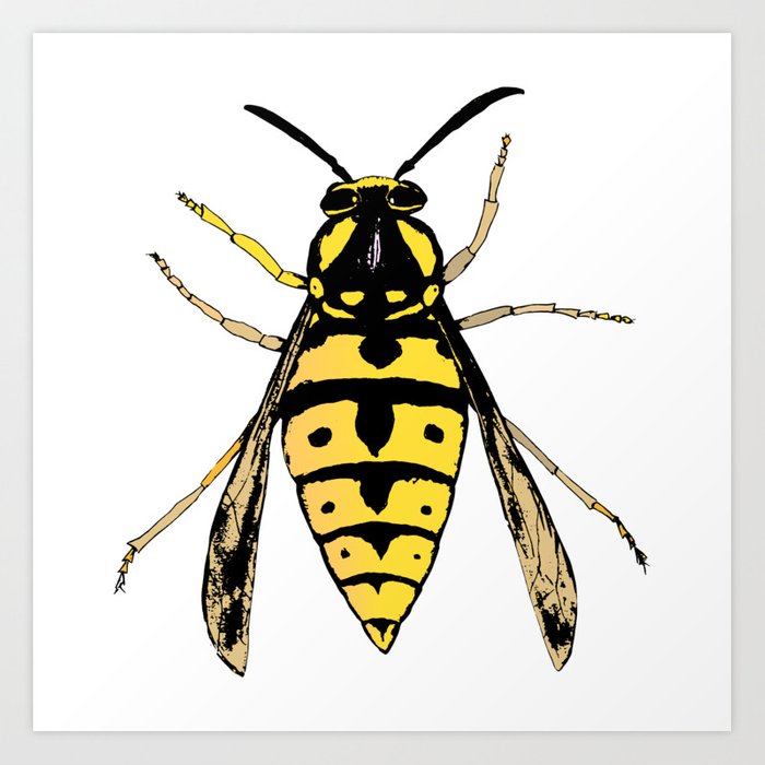 Wasp Vector at Vectorified.com | Collection of Wasp Vector free for ...