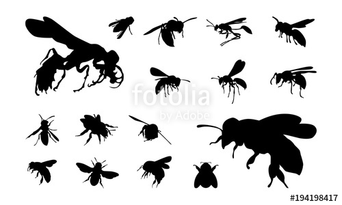 500x300 Set Of Various Bee And Wasp Silhouette Vector Illustration Stock