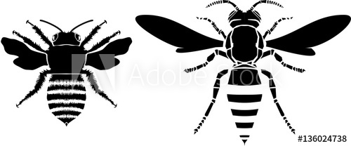 500x208 Bee And Wasp Vector Illustration
