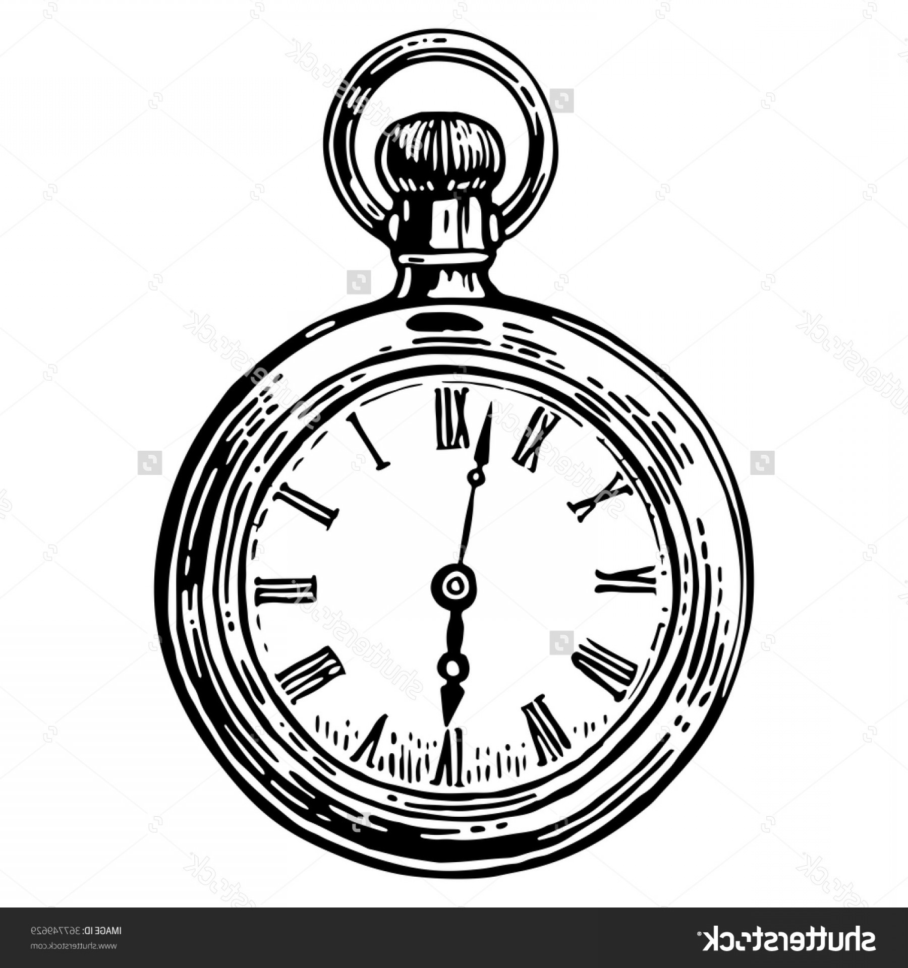 Pocket Watch Line Drawing Antique Pocket Watch Vector Vintage 1800x1920 Pocket Watch Line Drawing Antique Pocket Watch Vector Vintage
