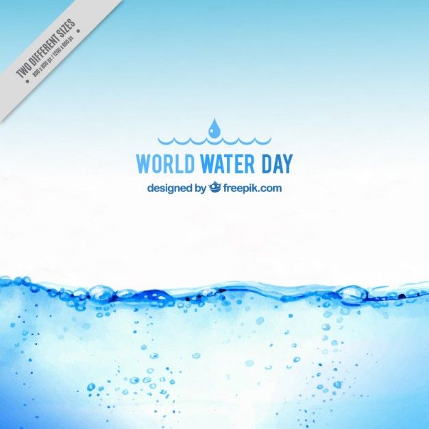 626x626 More Than A Million Free Vectors, Photos And Free Icons