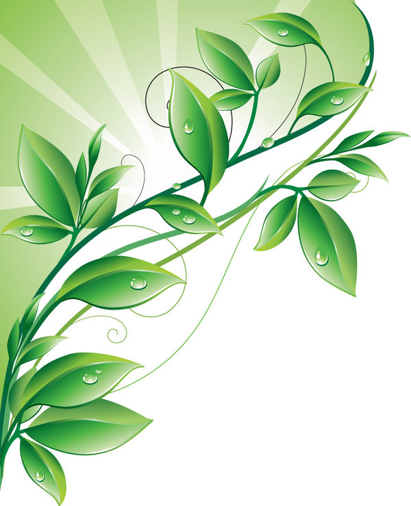 600x739 Leaves With Water Drip Vector Free Download