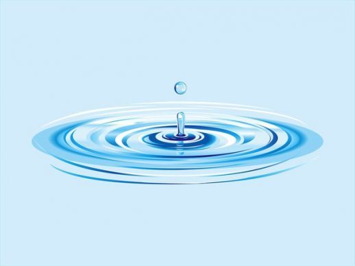 Water Droplet And Grass Vectors Water Droplet Vector 518x388 Water Droplet And Grass Vectors Water Droplet Vector