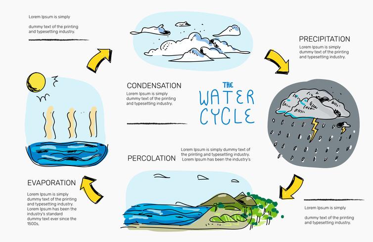 754x490 Water Cycle Hand Drawn Infographic Vector Illustration