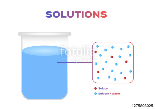 Solution Of Water Infographic Vector Dissolve And Solvent Stock 500x353 Solution Of Water Infographic Vector Dissolve And Solvent Stock