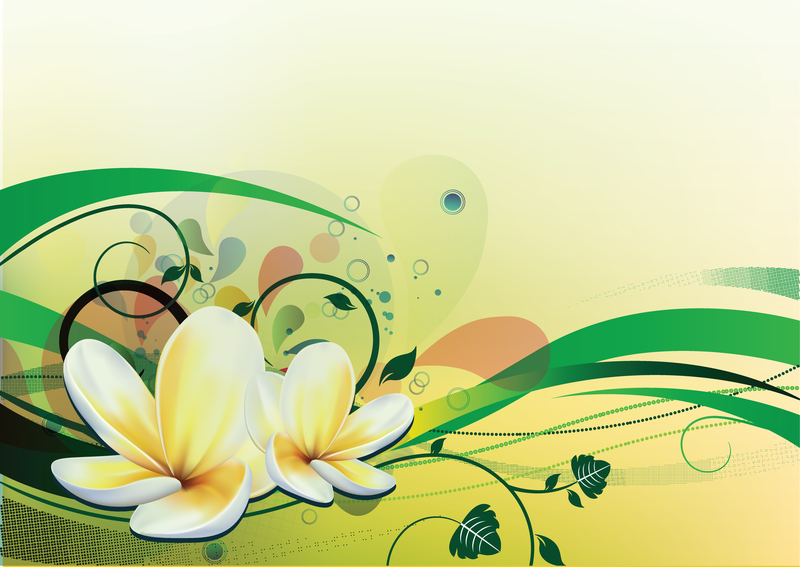 800x567 Water Lily Vector