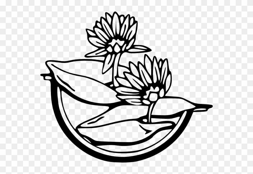 880x606 Free Vector Water Lily Clip Art