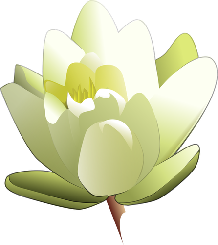 446x500 Water Lily Vector Image
