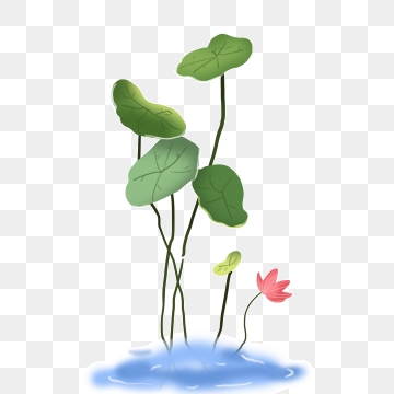 360x360 Water Lily Vector Png, Vector, And Clipart With Transparent