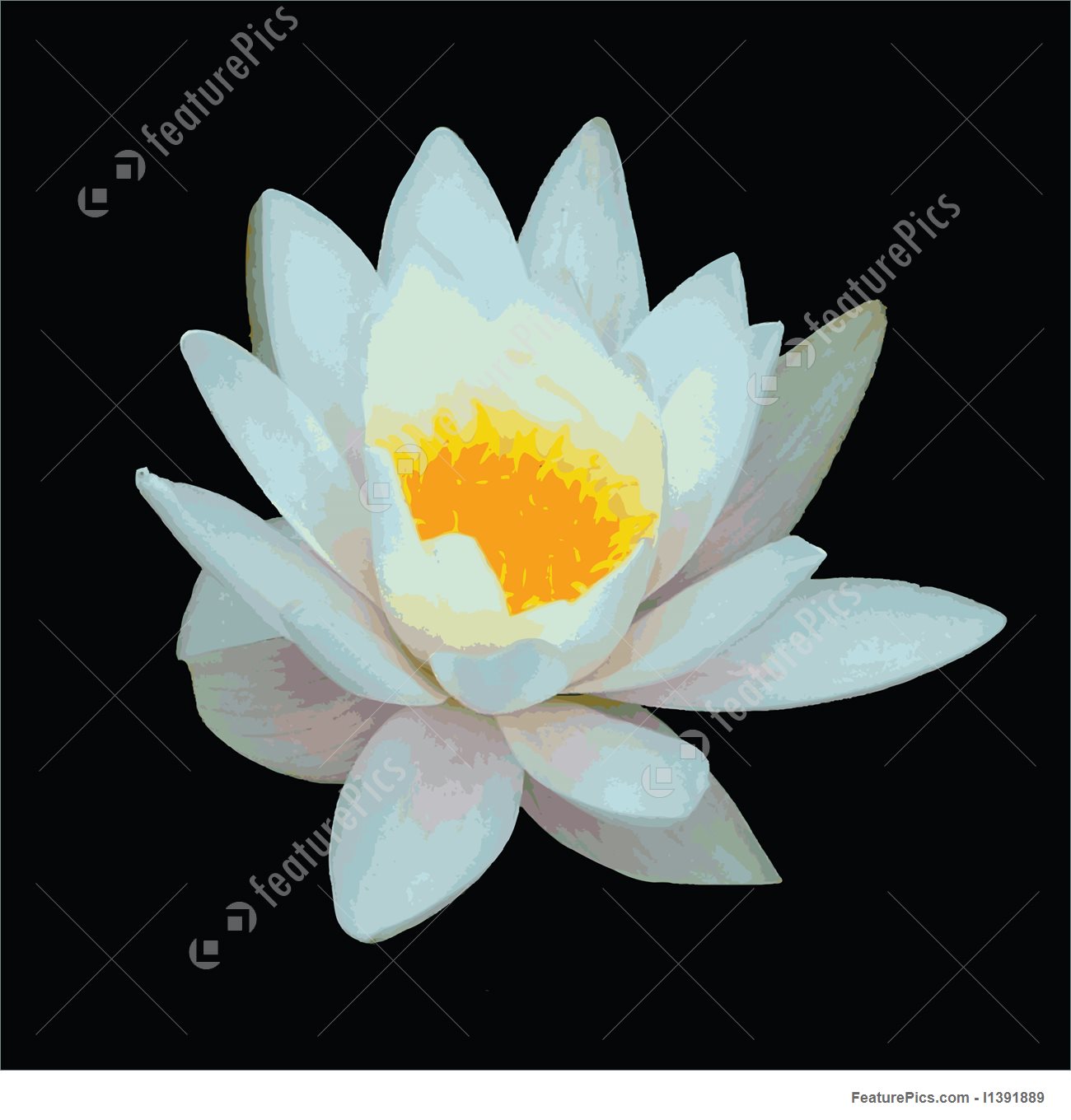 1300x1360 Water Lily Vector