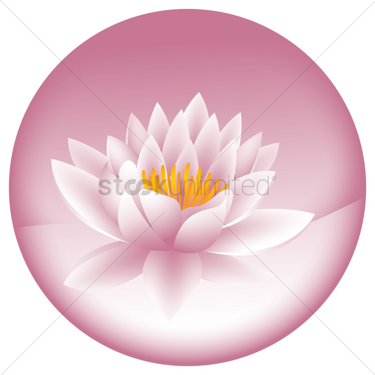 1300x1300 Water Lily Vector Image