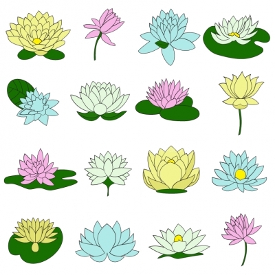 400x400 Water Lily Flower Set Illustration