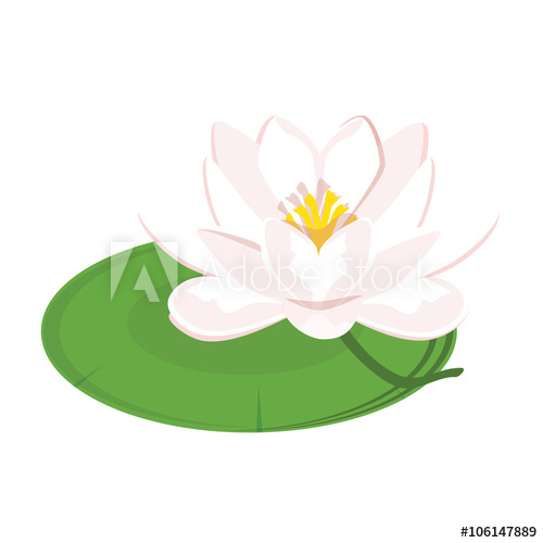 500x500 Water Lily Vector