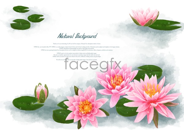 600x424 Water Lily Vector Free Download Png Files, Free Clip Art Download