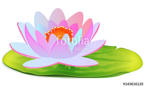 500x300 Water Lily Vector Illustration Stock Image And Royalty Free