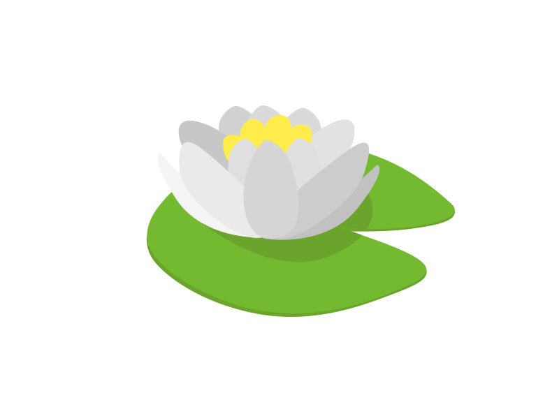 800x566 Waterlily Free Vector