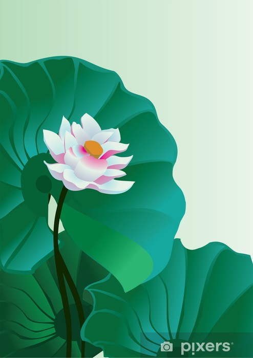 494x700 Water Lily Vector Wall Mural