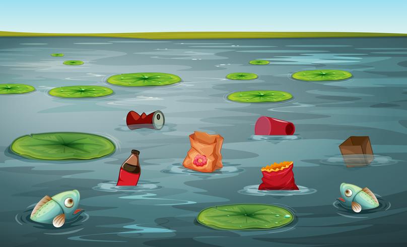 808x490 Fish In Water Pollution