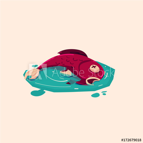 500x500 Dead Fish In Polluted Water Water Pollution