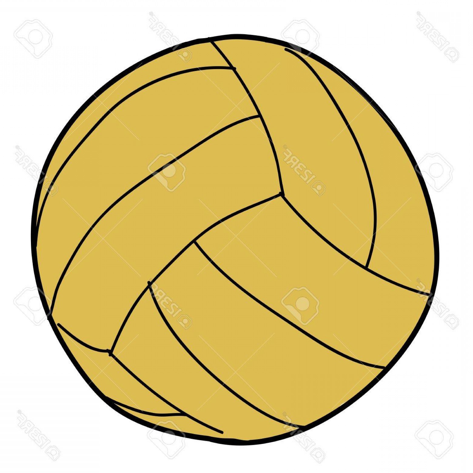 1560x1560 Water Polo Ball Vector Savoyuptown