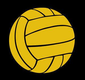 300x282 Water Polo Ball Clip Art