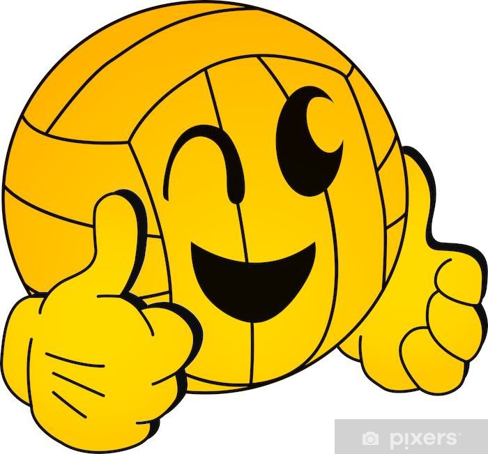 Vecktor Wasserball, Vector Water Polo, Sport Ball Poster Pixers 700x651 Vecktor Wasserball, Vector Water Polo, Sport Ball Poster Pixers