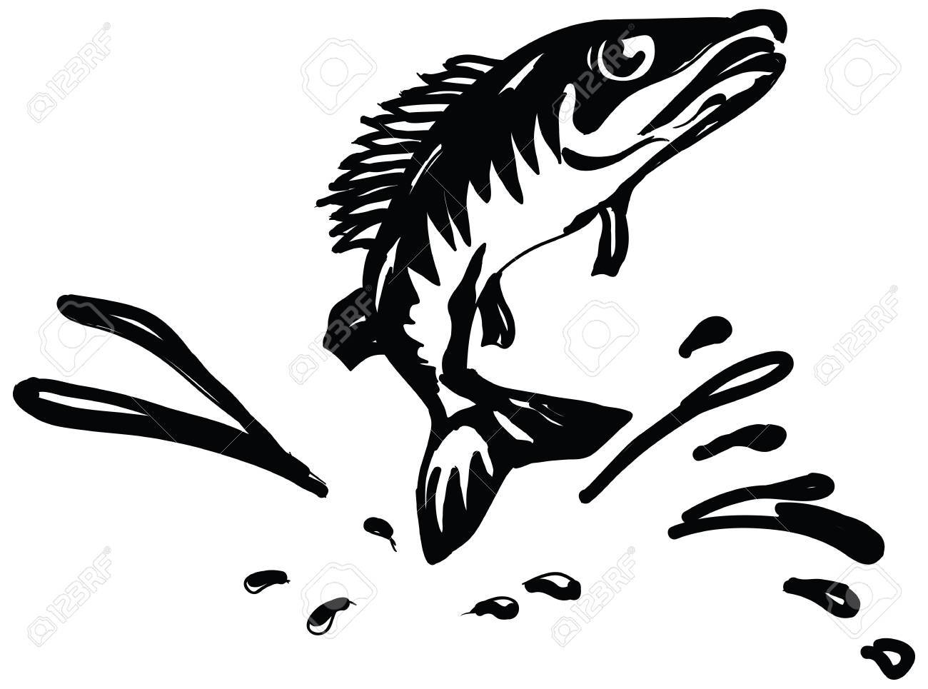 1300x965 Fish Jumping Out Of Water Silhouette