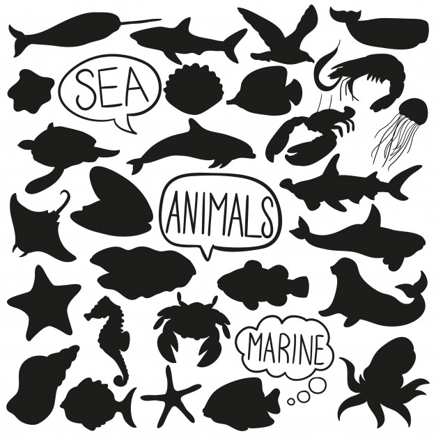 626x626 Sea Water Animals Doodle Silhouette Vector Clip Art Vector