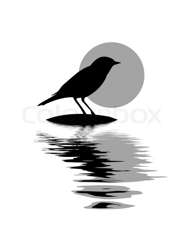 656x800 Vector Silhouette Of The Bird On Stone Stock Vector Colourbox