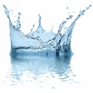 320x320 Library Stock Transparent Splash And Wave On Light